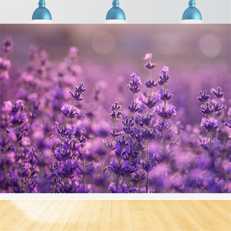 Purple Flowers Backdrop Gentle Violet Meadow Backdrop GTY3-32