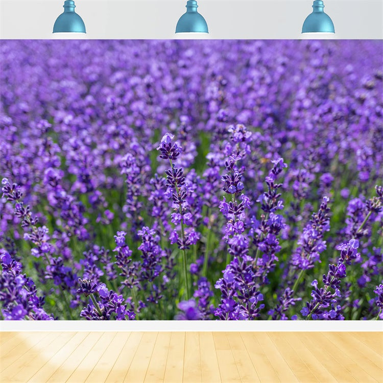 Flower Photo Backdrop Enchanting Lavender Expanse Backdrop GTY3-33