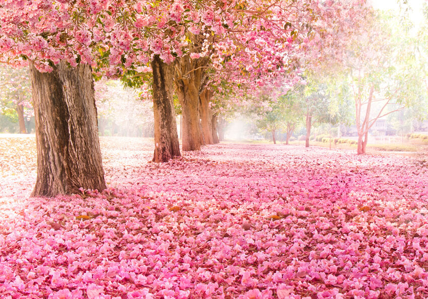 Floral Backdrop Pink Flowers Photography Background LV-455