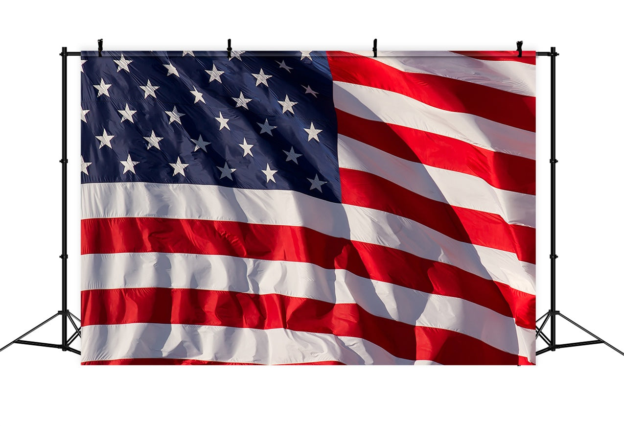 American Flag Photography Backdrop Freedom Breeze Glory Backdrop LXX1-177