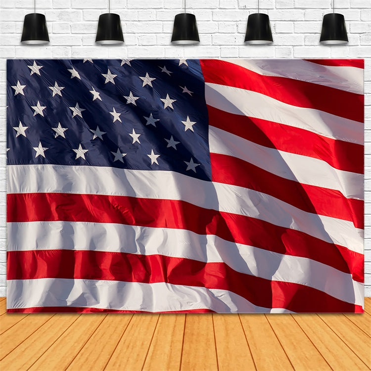 American Flag Photography Backdrop Freedom Breeze Glory Backdrop LXX1-177