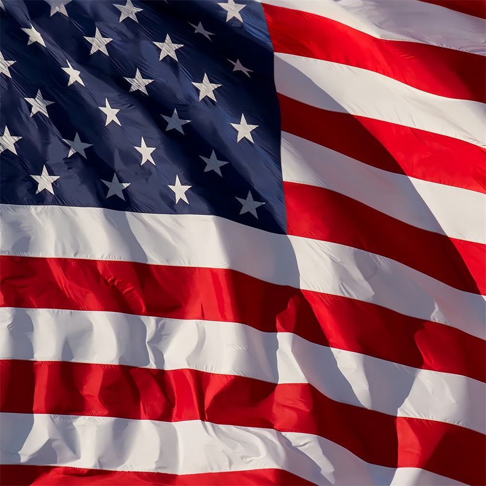 American Flag Photography Backdrop Freedom Breeze Glory Backdrop LXX1-177