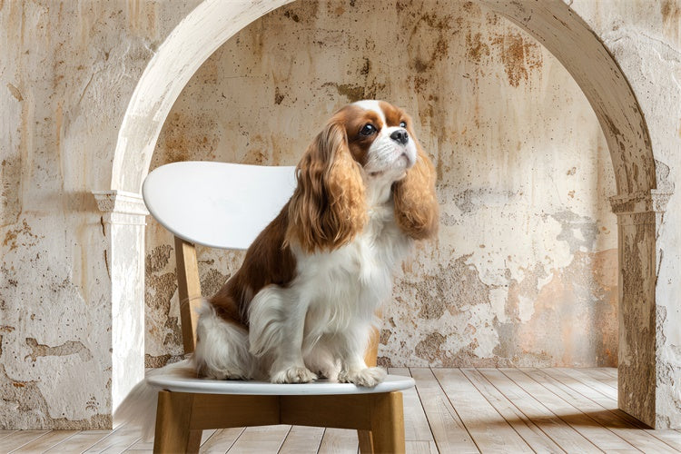 Pet Photography Backdrops Old Wall Rustic Arch Backdrop LXX1-256