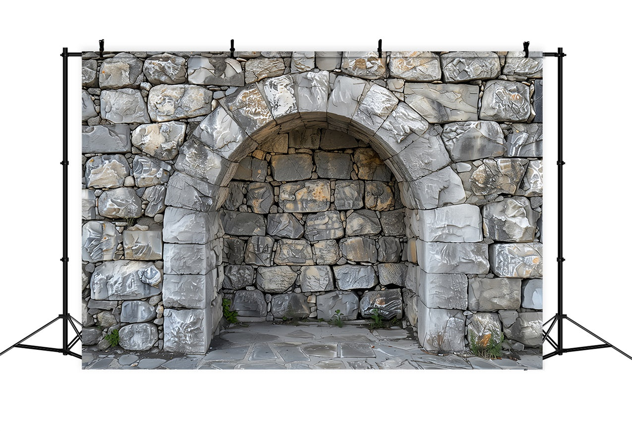 Pet Photography Backdrop Stone Arch Rock Wall Backdrop LXX1-257