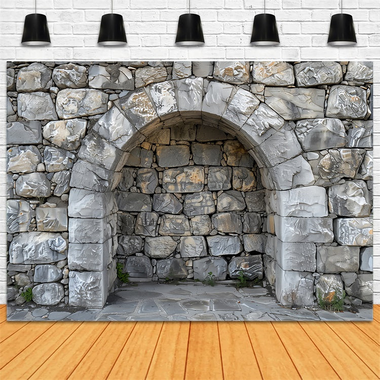 Pet Photography Backdrop Stone Arch Rock Wall Backdrop LXX1-257