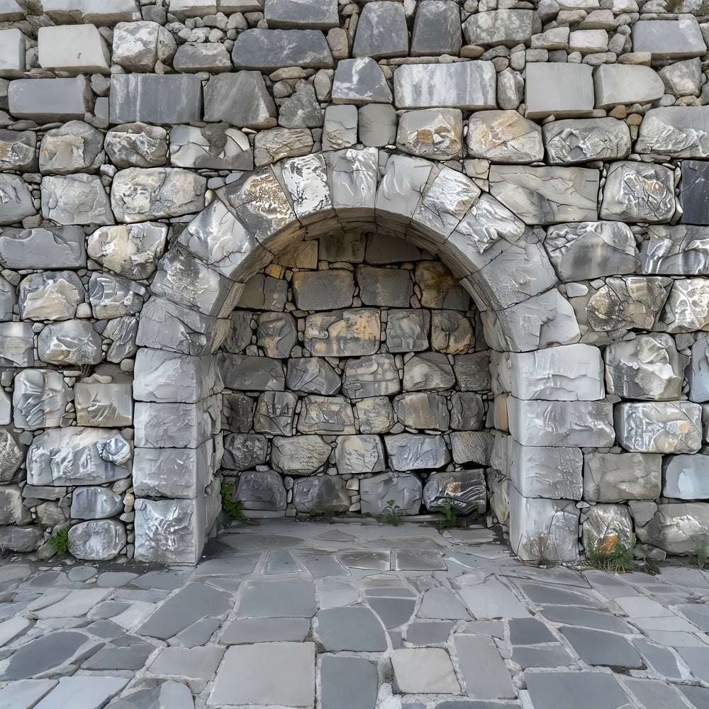 Pet Photography Backdrop Stone Arch Rock Wall Backdrop LXX1-257