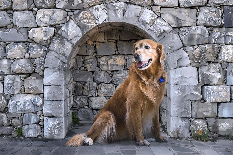 Pet Photography Backdrop Stone Arch Rock Wall Backdrop LXX1-257