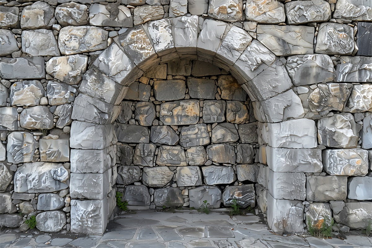 Pet Photography Backdrop Stone Arch Rock Wall Backdrop LXX1-257