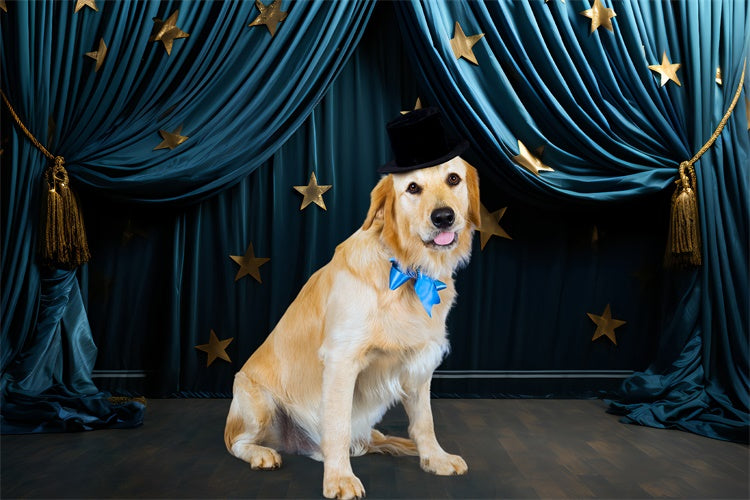 Pet Photo Backdrops Golden Star Blue Drapes Backdrop LXX1-277