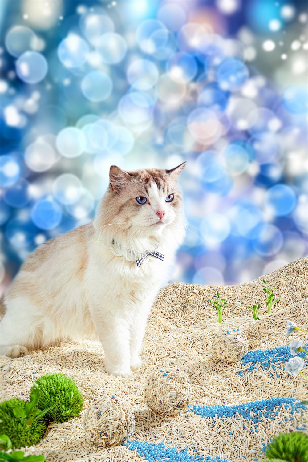 Pet Photography Backdrop Blue Light Bokeh Backdrop LXX1-290