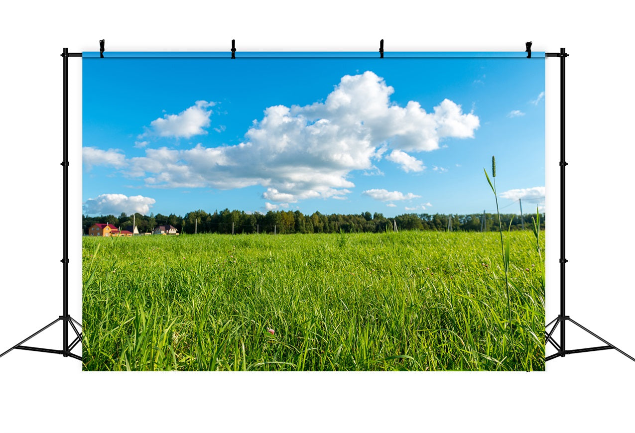 Sky Backdrop Photography Green Meadow Blue Backdrop LXX1-301