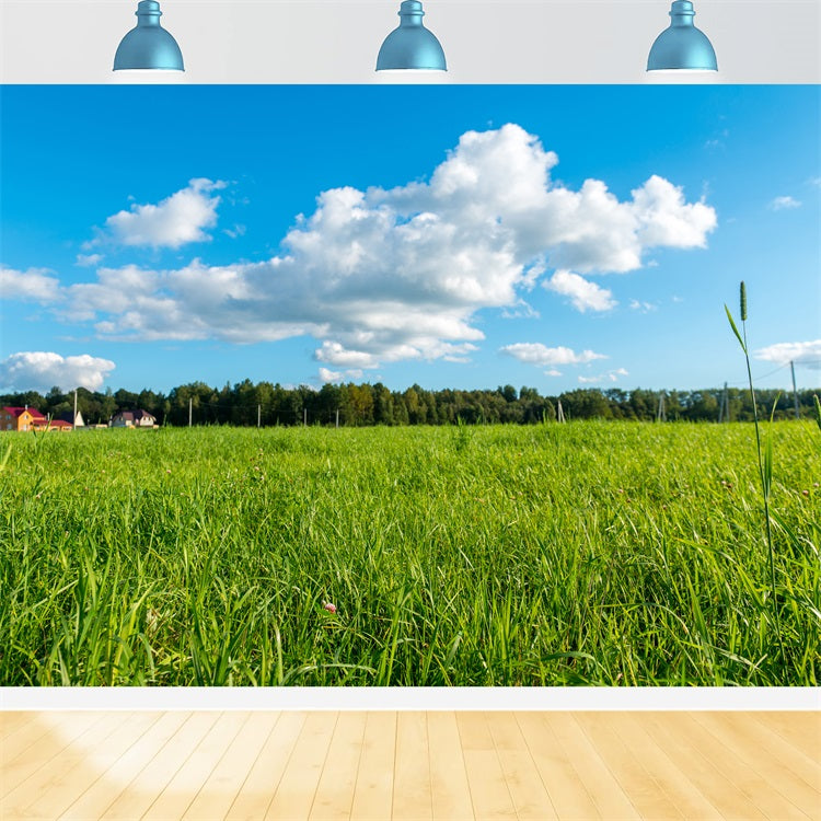 Sky Backdrop Photography Green Meadow Blue Backdrop LXX1-301