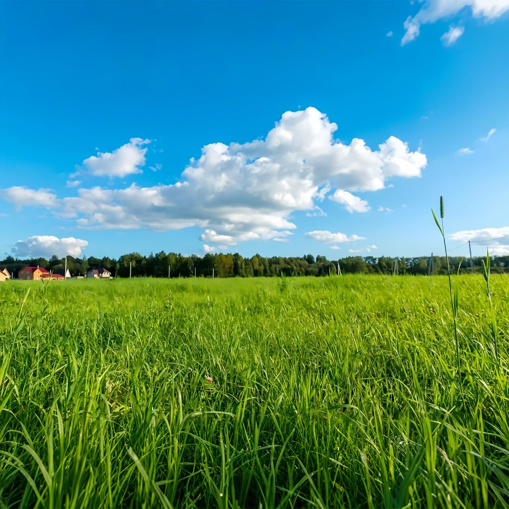 Sky Backdrop Photography Green Meadow Blue Backdrop LXX1-301