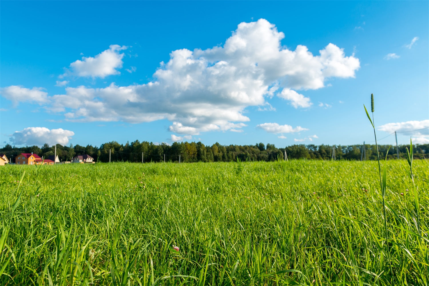 Sky Backdrop Photography Green Meadow Blue Backdrop LXX1-301