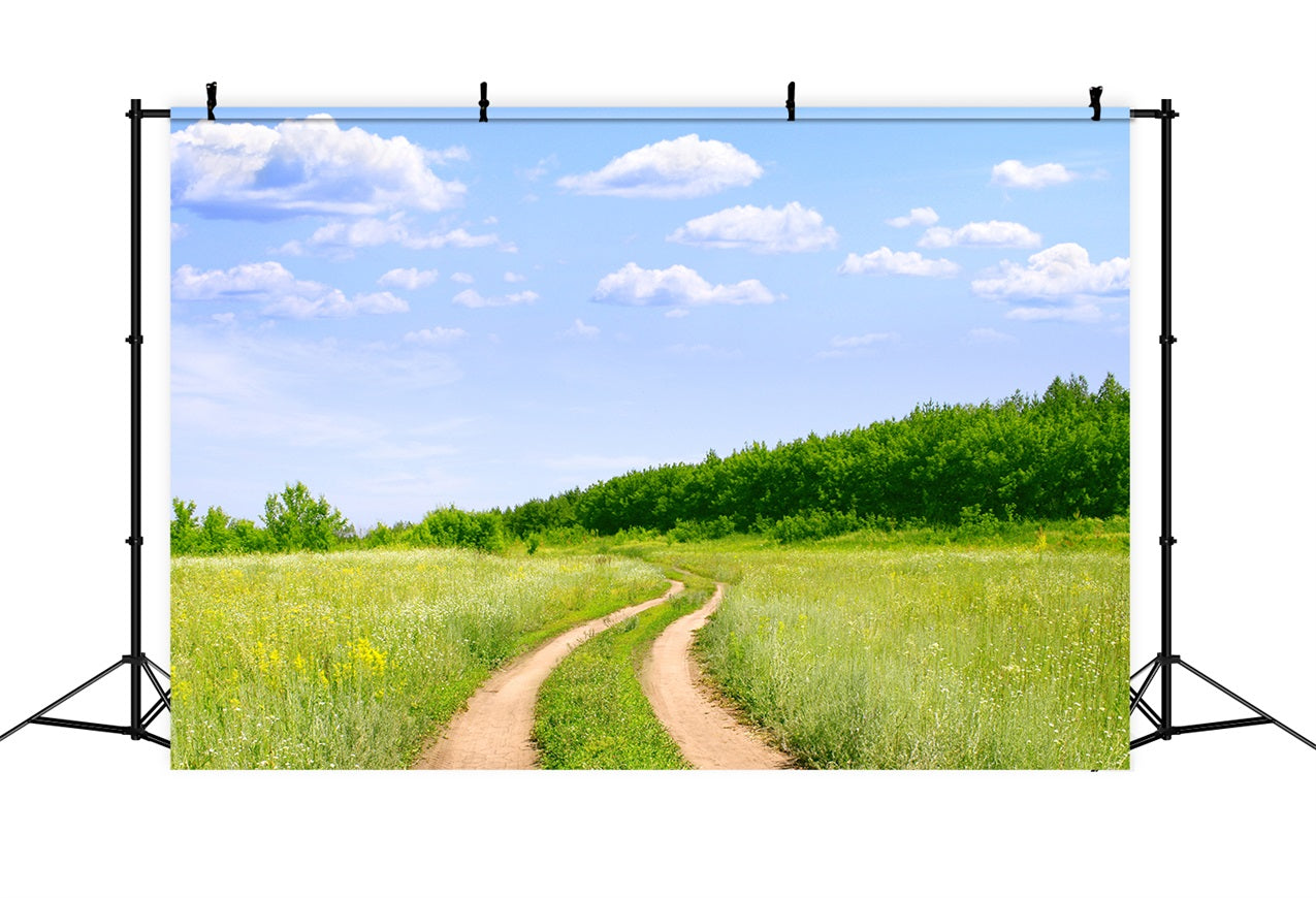 Blue Sky Backdrop Country Trail Meadow Backdrop LXX1-302