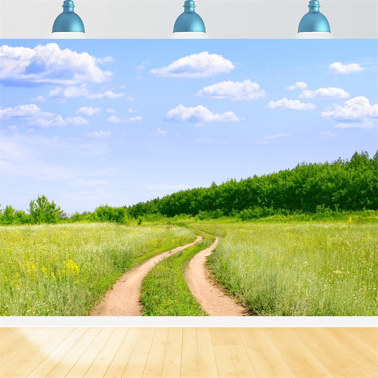 Blue Sky Backdrop Country Trail Meadow Backdrop LXX1-302