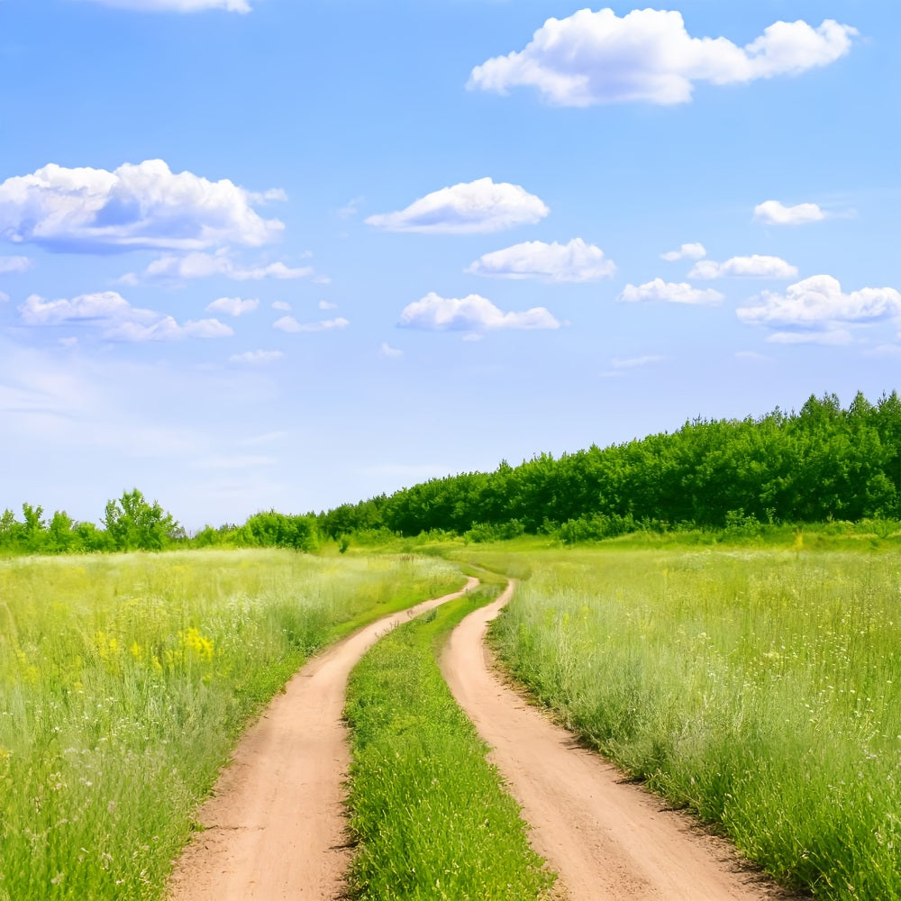 Blue Sky Backdrop Country Trail Meadow Backdrop LXX1-302