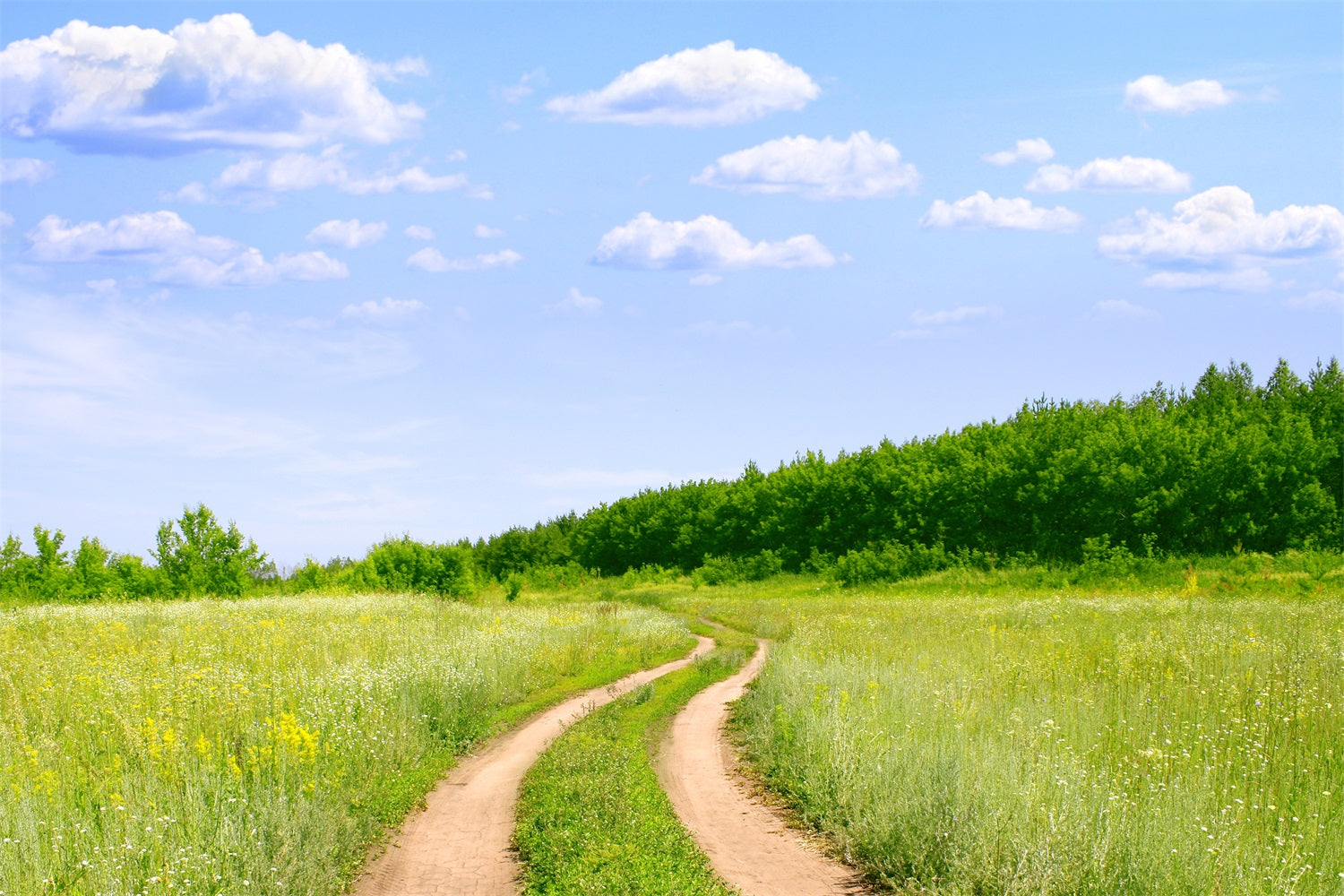 Blue Sky Backdrop Country Trail Meadow Backdrop LXX1-302