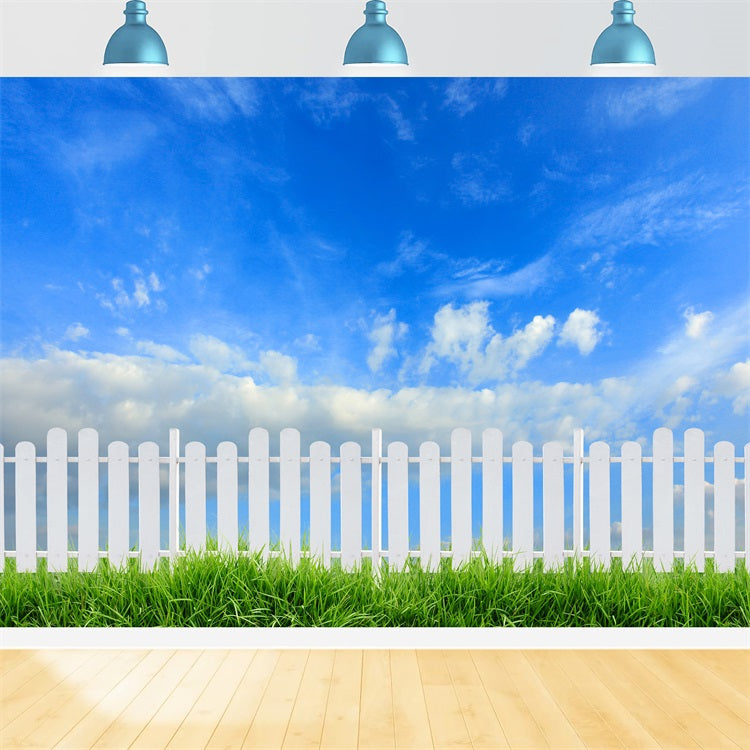 Sky Backdrop Photography Sunny Day White Fence Backdrop LXX1-303