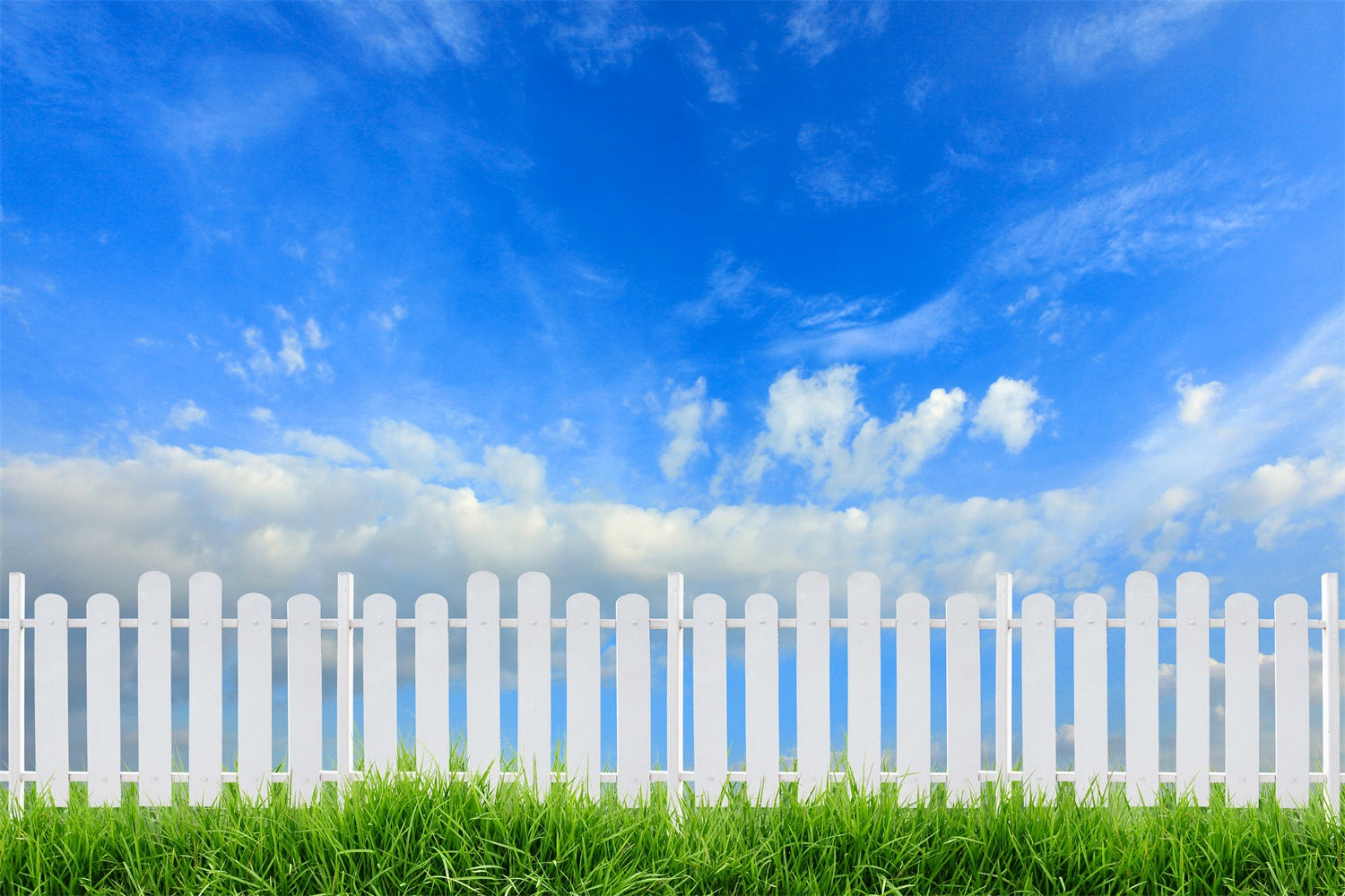 Sky Backdrop Photography Sunny Day White Fence Backdrop LXX1-303