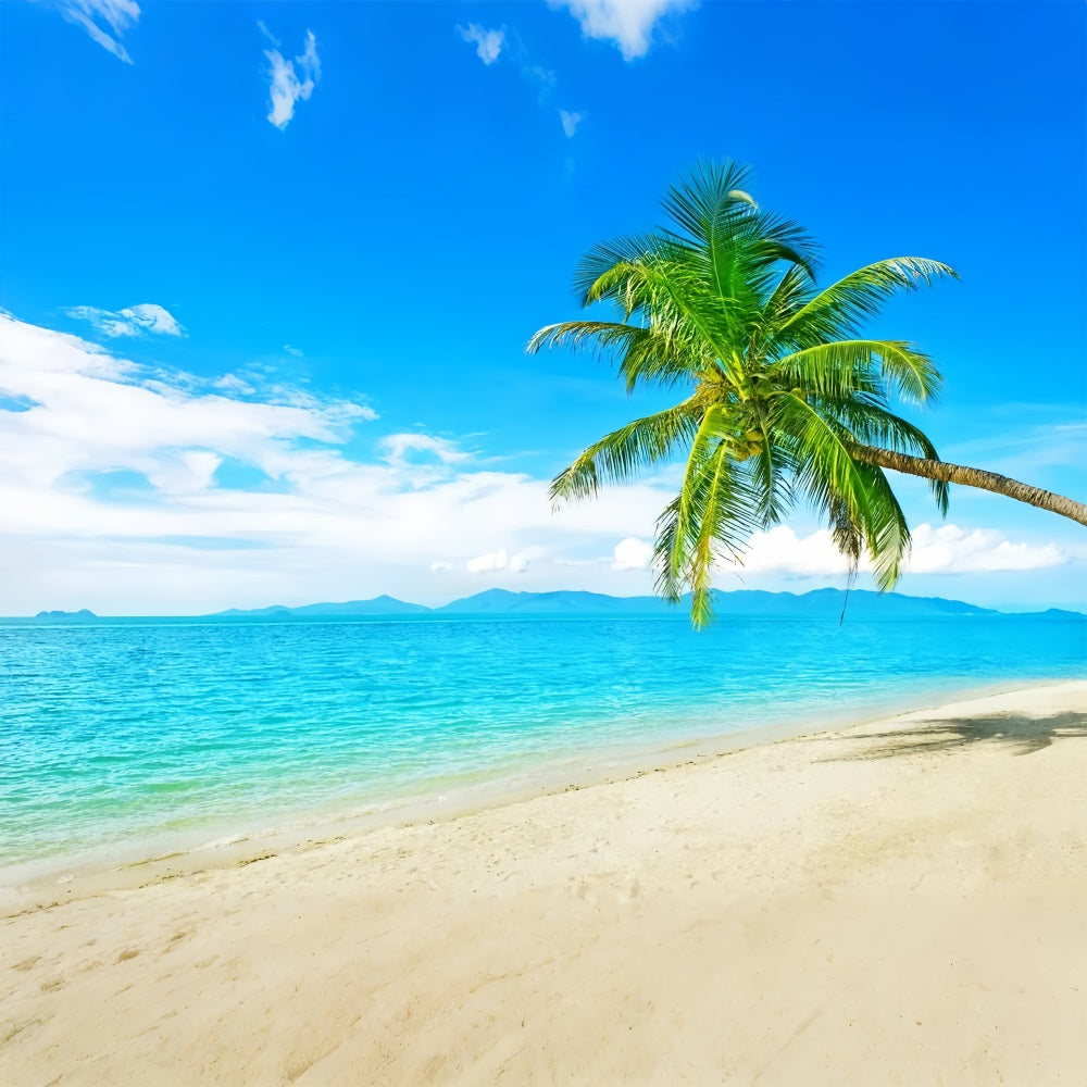 Ocean Sky Backdrop Sunny Beach Coconut Tree Backdrop LXX1-304