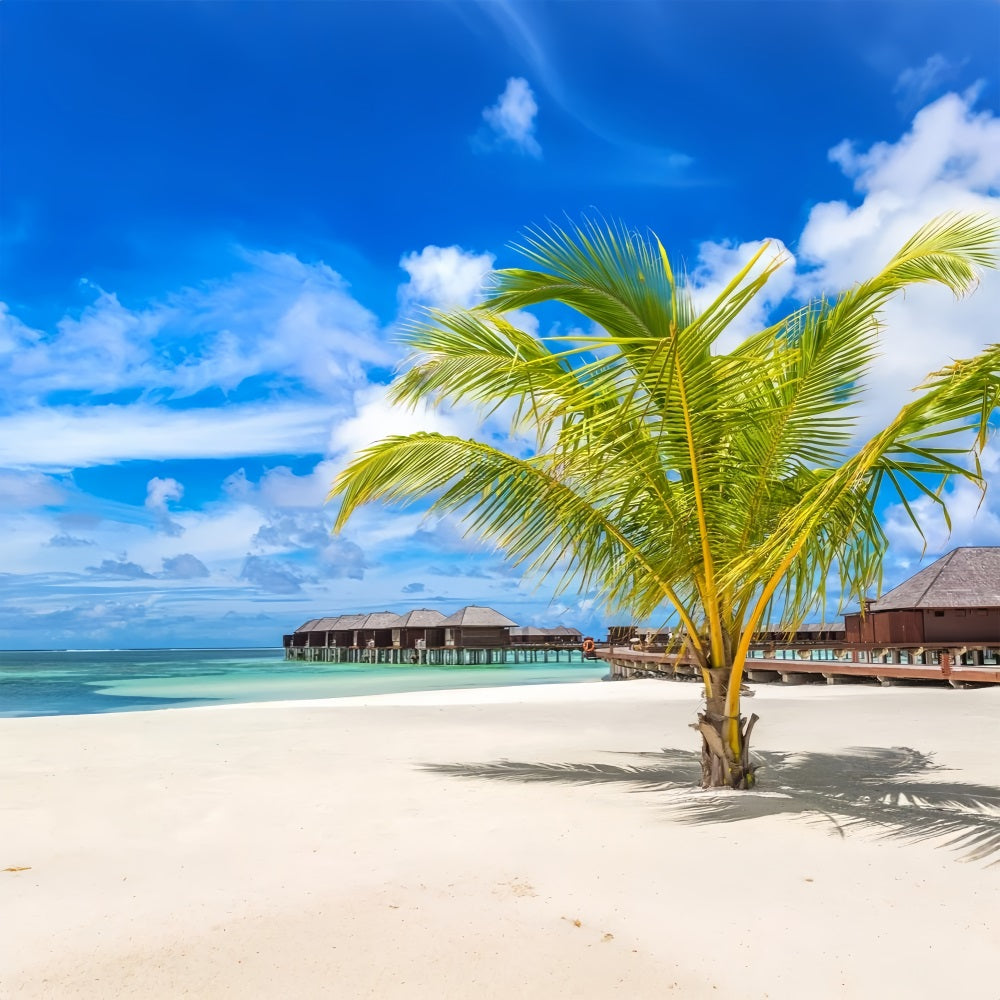 Sky Photography Backdrop Palm Tree Luxury Huts Backdrop LXX1-306