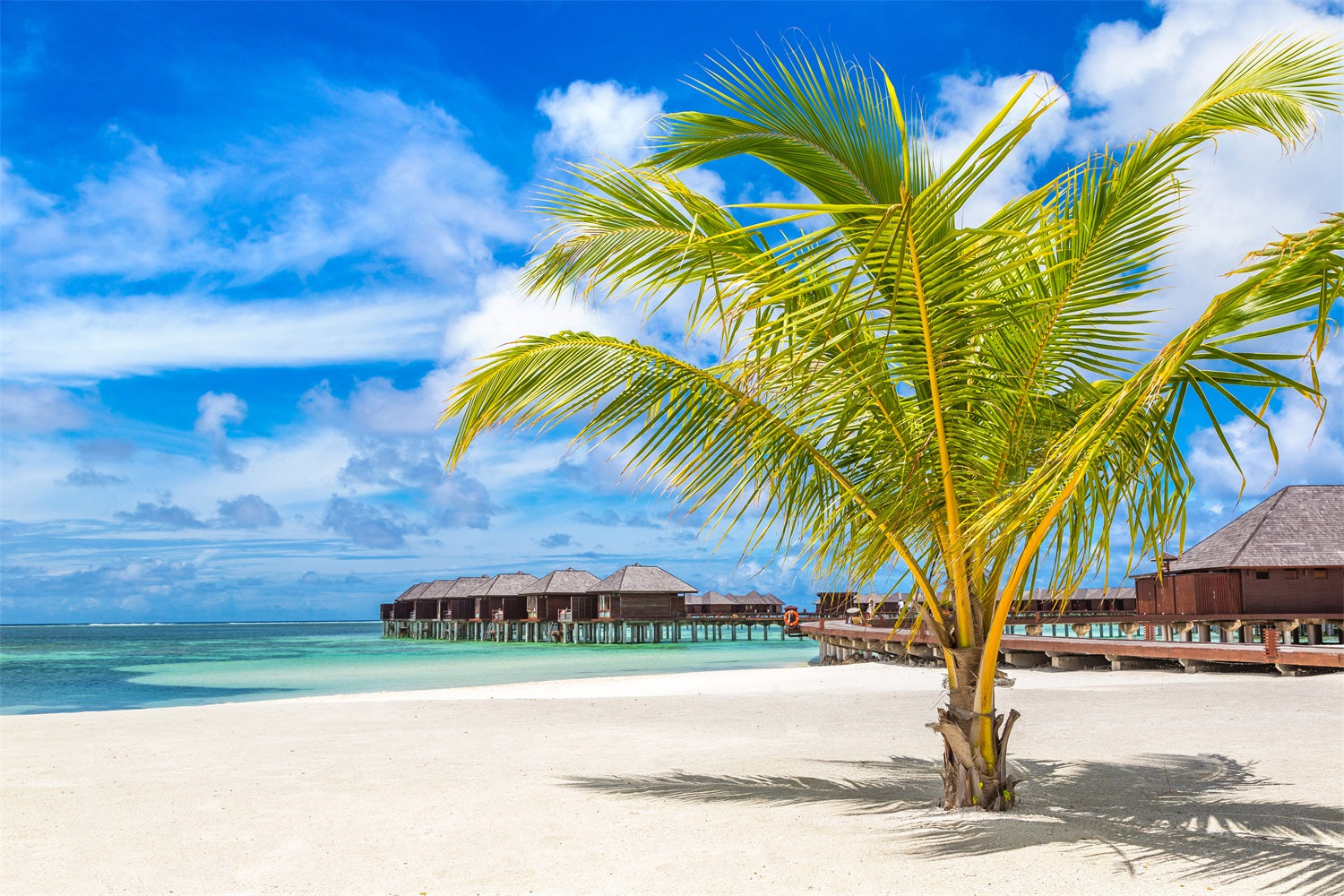 Sky Photography Backdrop Palm Tree Luxury Huts Backdrop LXX1-306