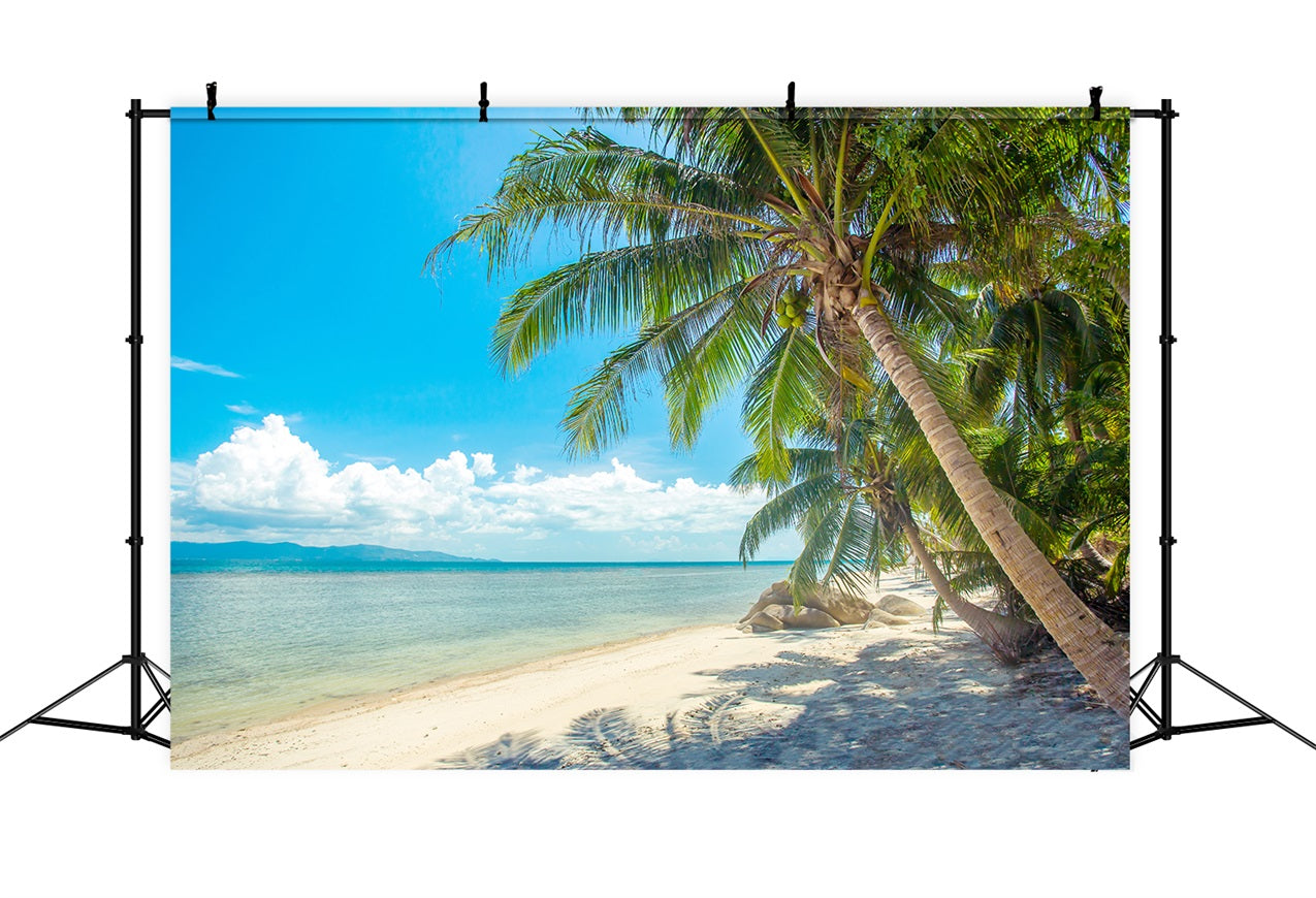 Cloudy Sky Backdrop Palm Tree Beach Landscape Backdrop LXX1-307