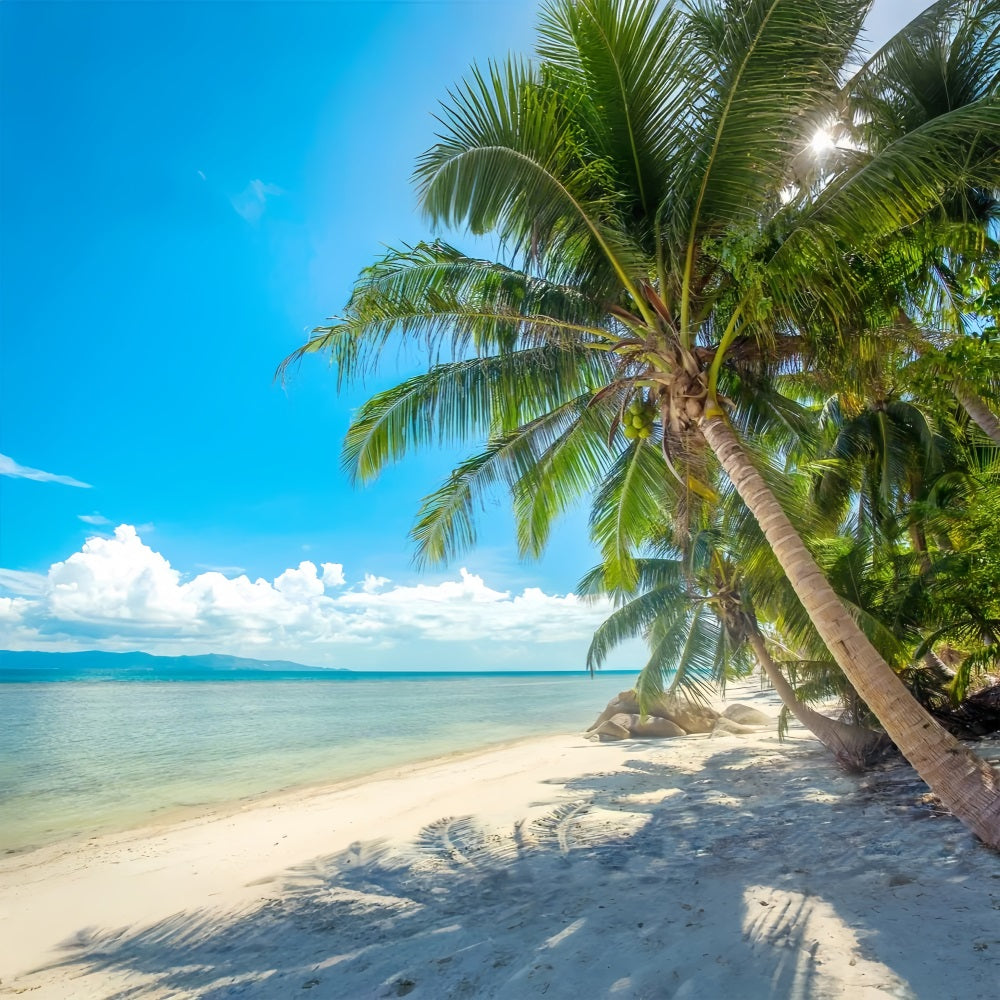 Cloudy Sky Backdrop Palm Tree Beach Landscape Backdrop LXX1-307