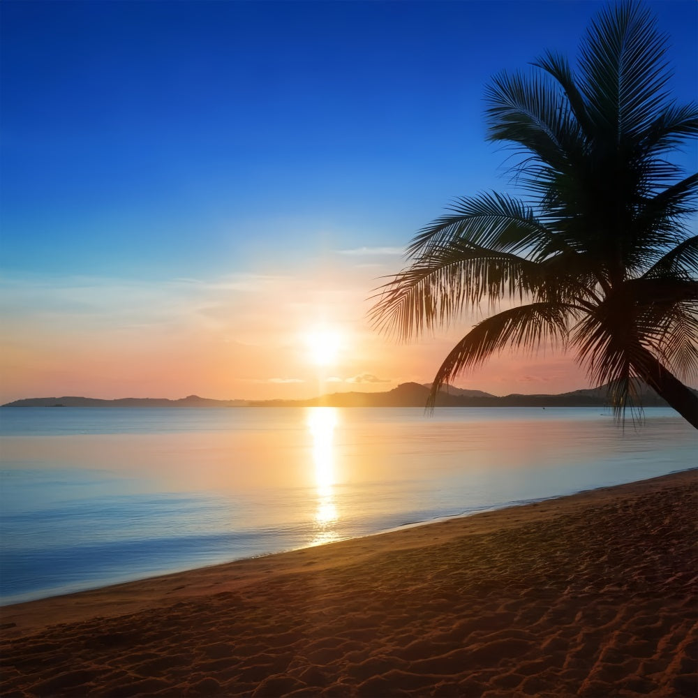 Blue Sky Photo Backdrop Golden Beach Sunset Backdrop LXX1-311