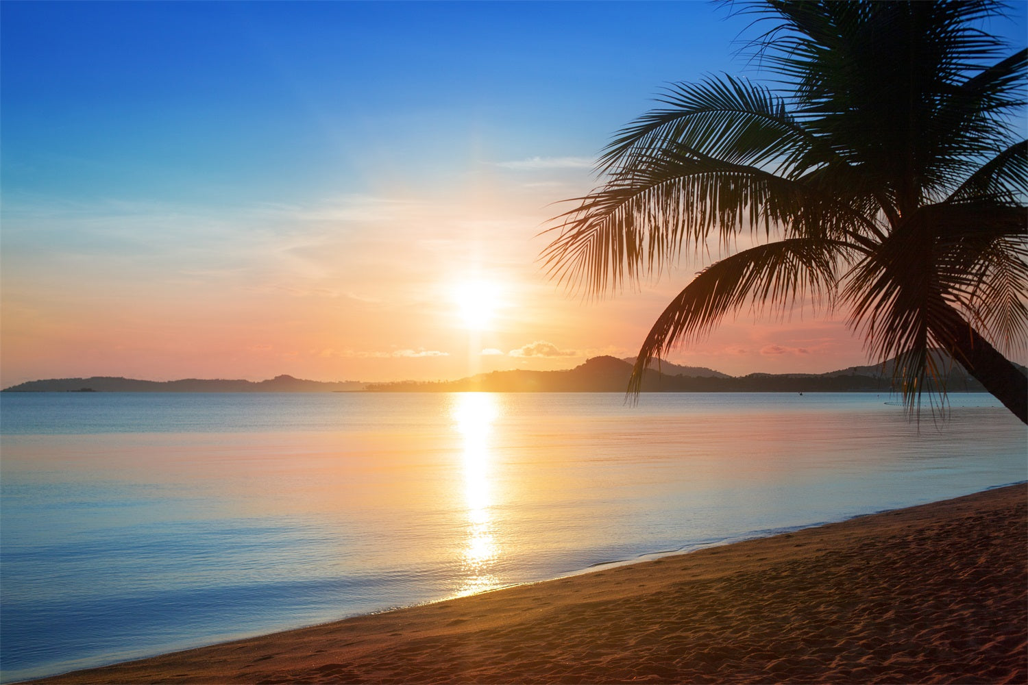 Blue Sky Photo Backdrop Golden Beach Sunset Backdrop LXX1-311