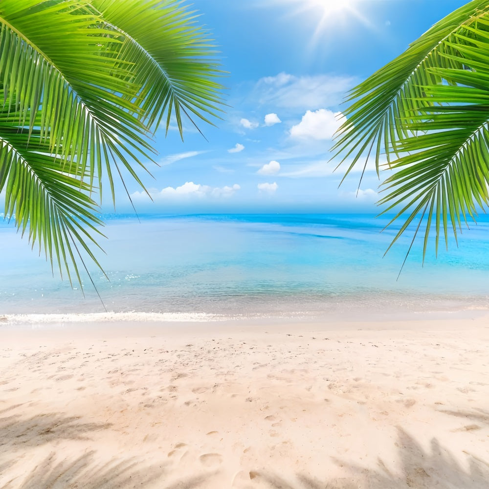 Cloudy Sky Backdrop Sandy Shore Palm Leaves Backdrop LXX1-312