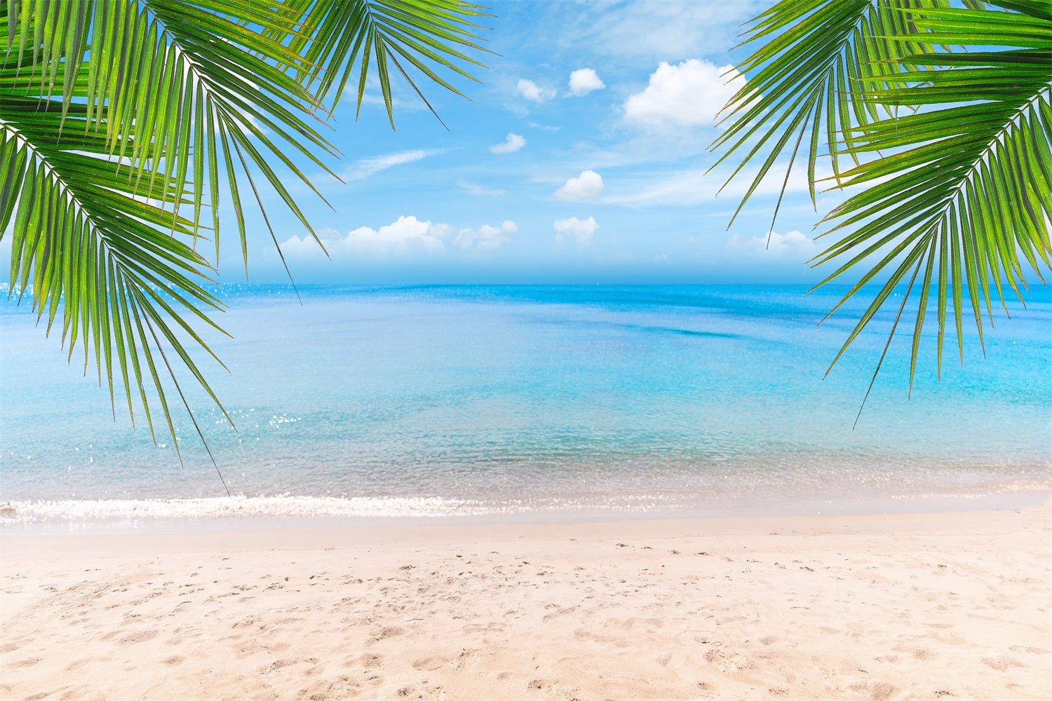 Cloudy Sky Backdrop Sandy Shore Palm Leaves Backdrop LXX1-312