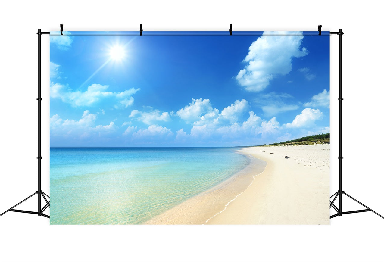 Photography Sky Backdrop Golden Sands Serene Ocean Backdrop LXX1-313