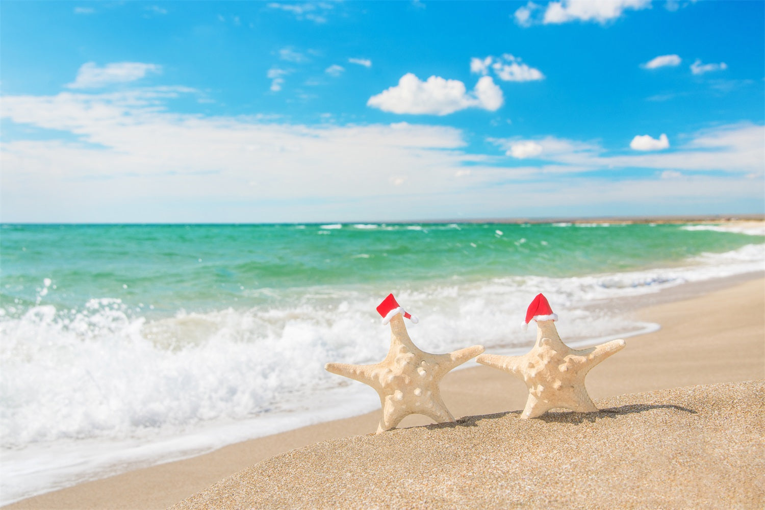 Sky With Clouds Backdrop Festive Beach Starfish Backdrop LXX1-314