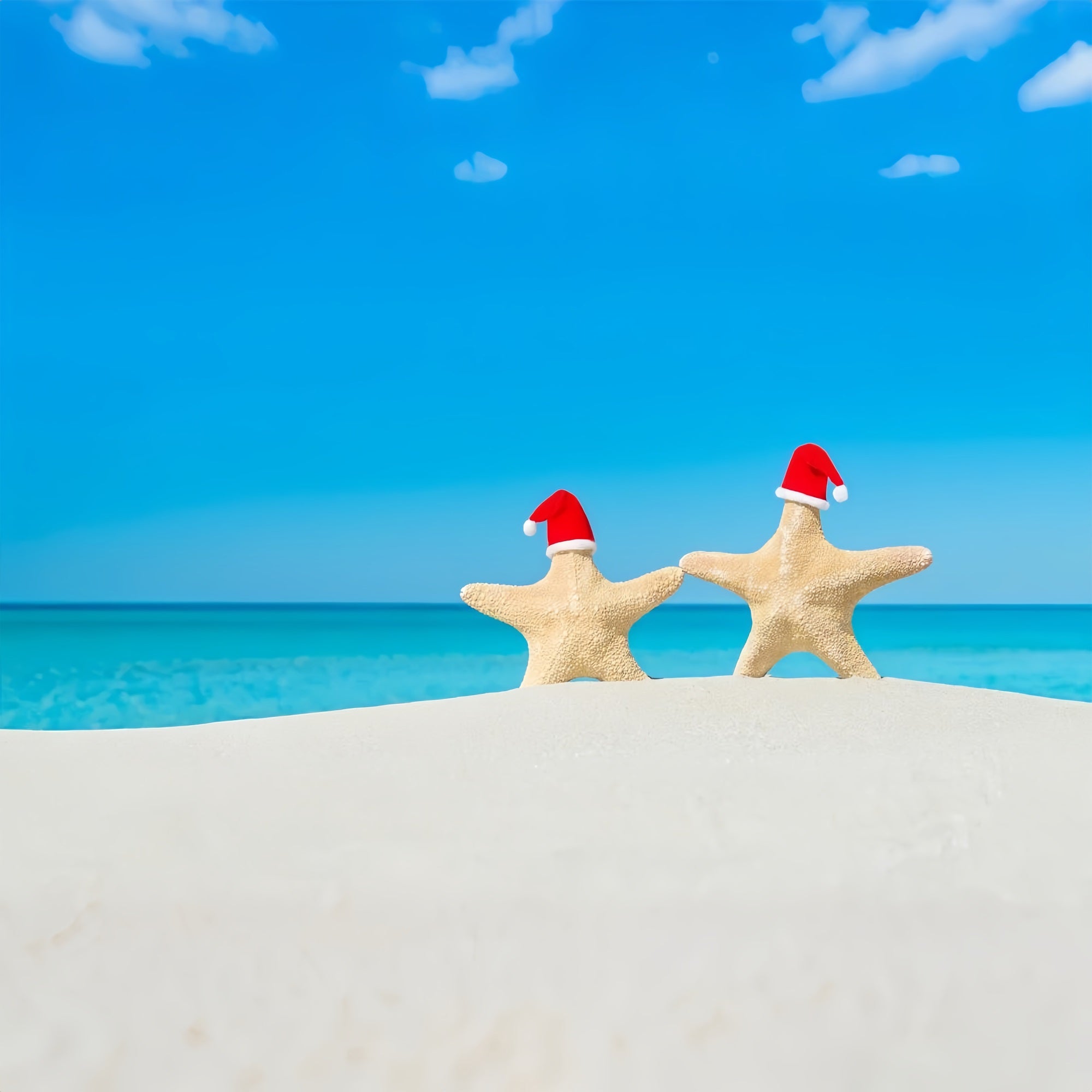 Blue Sky Backdrop Warm Sands Festive Starfish Backdrop LXX1-315