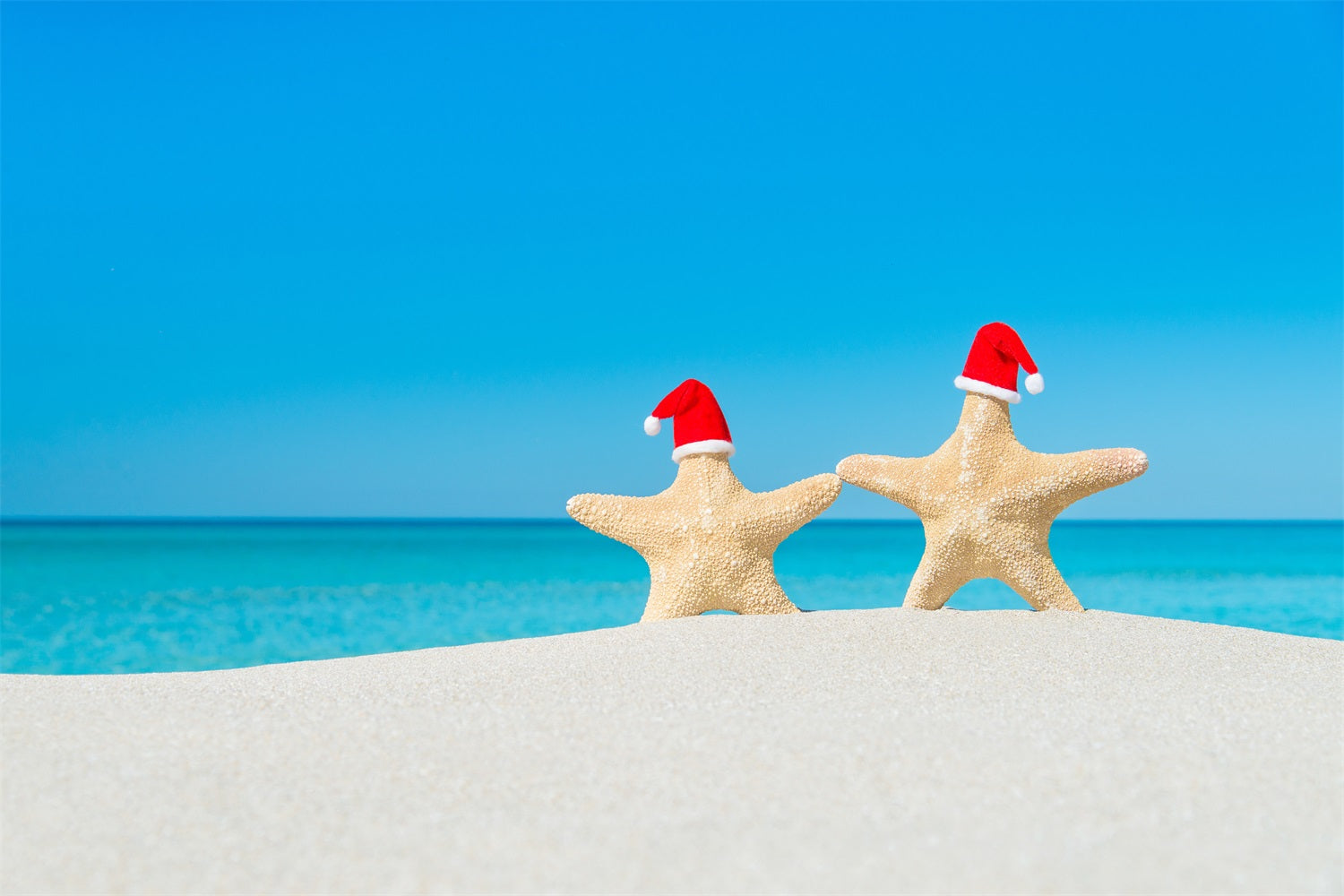 Blue Sky Backdrop Warm Sands Festive Starfish Backdrop LXX1-315