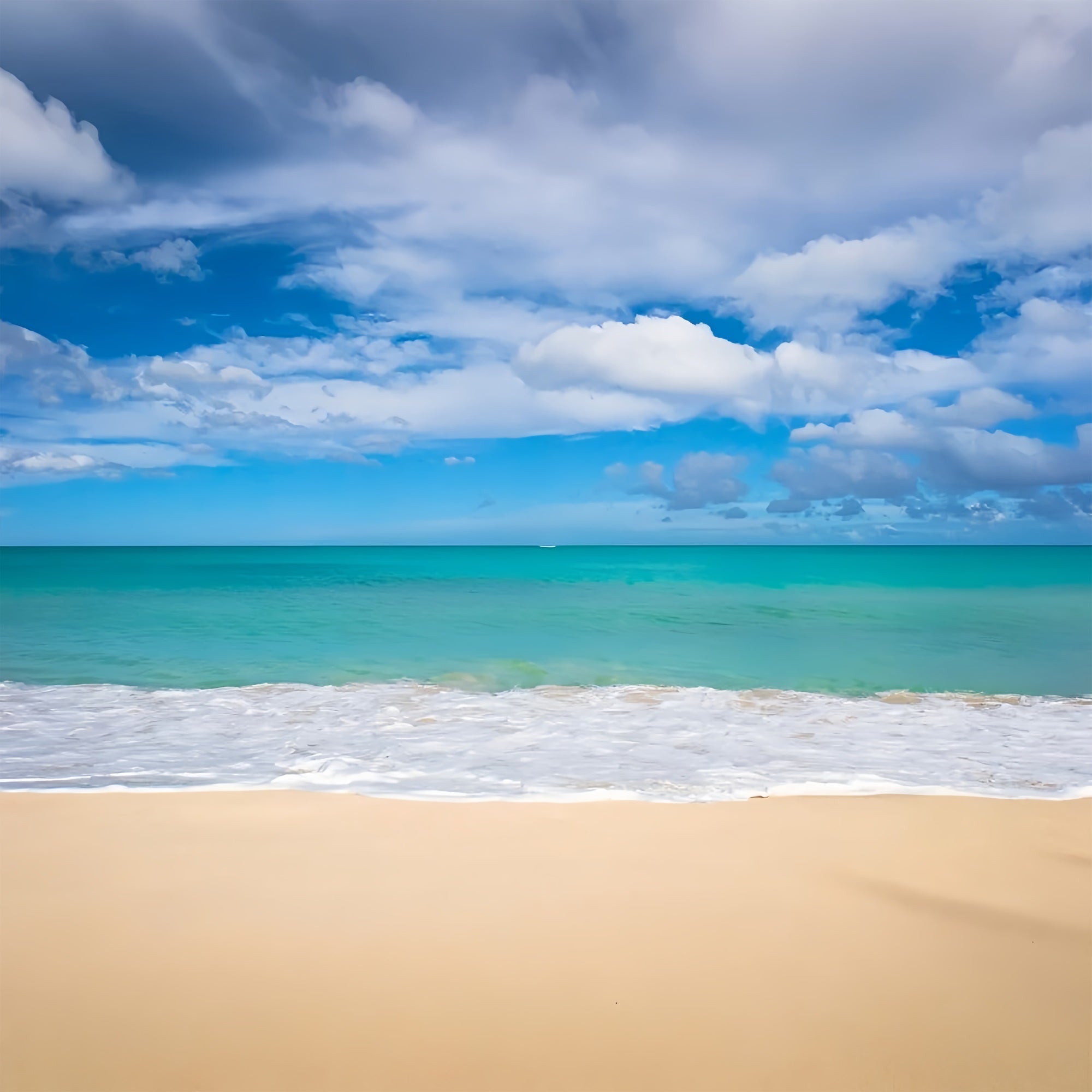 Ocean Sky Backdrop Peaceful Shoreline Blue Water Backdrop LXX1-316