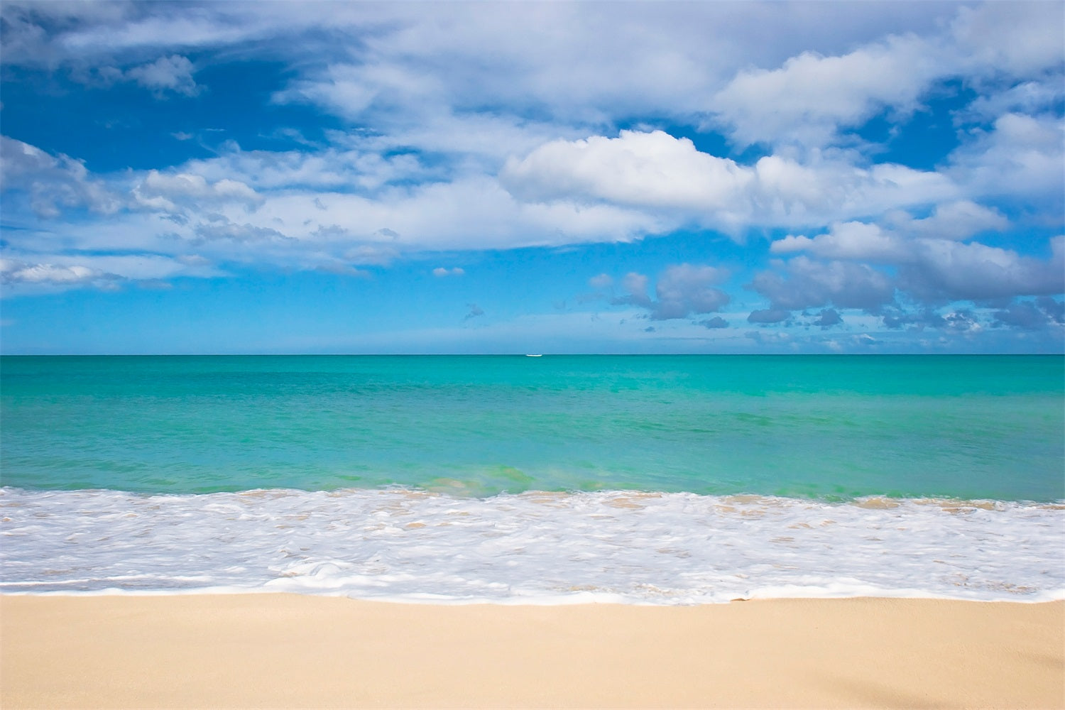 Ocean Sky Backdrop Peaceful Shoreline Blue Water Backdrop LXX1-316