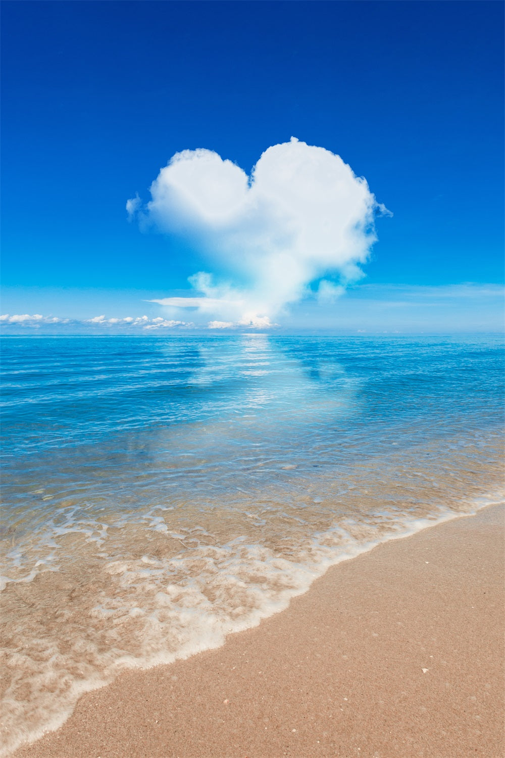 Sky Blue Backdrop Serene Ocean Heart Shaped Cloud Backdrop LXX1-317