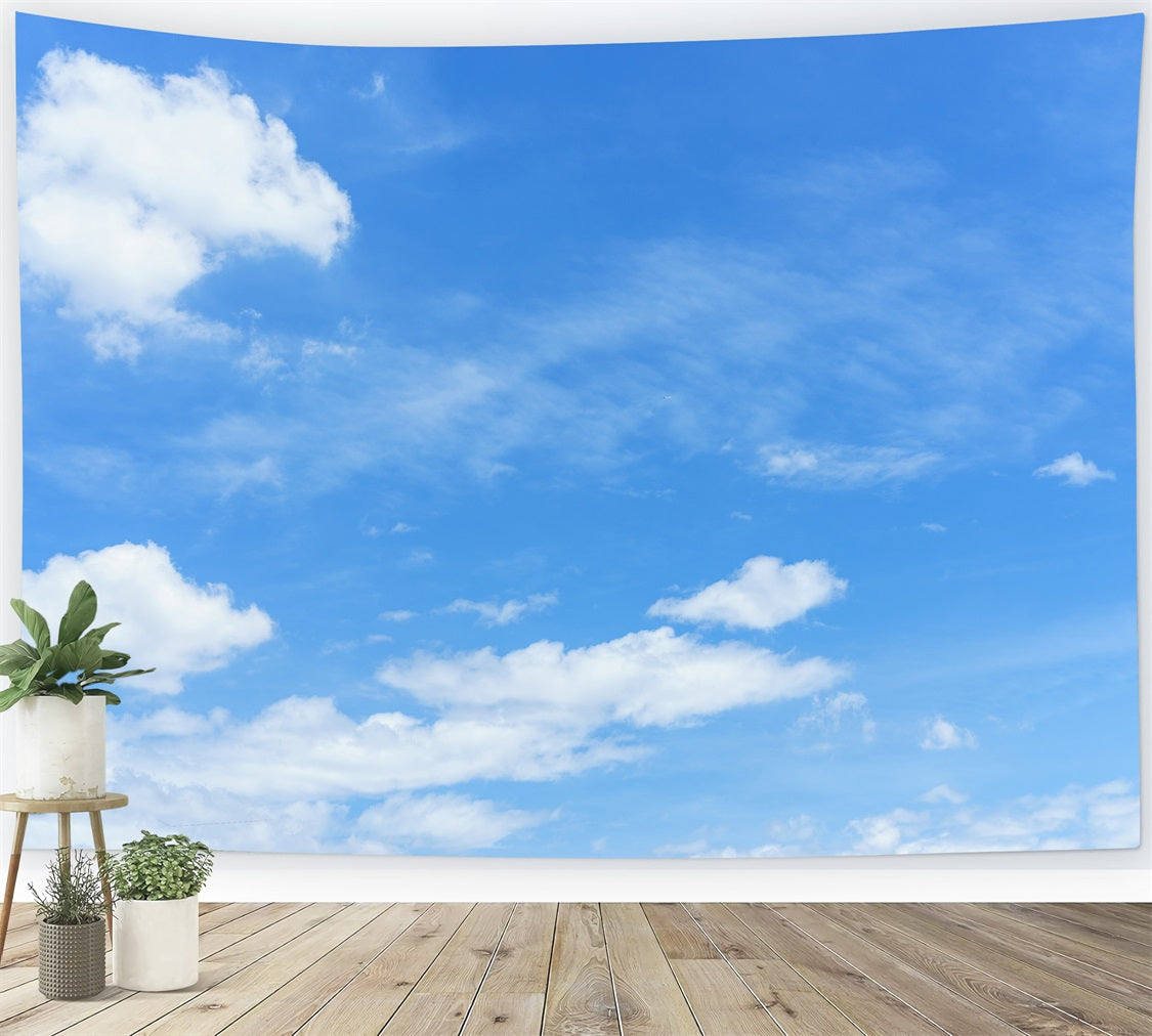 Photography Sky Backdrop Blue Sky Floating Clouds Backdrop LXX1-319