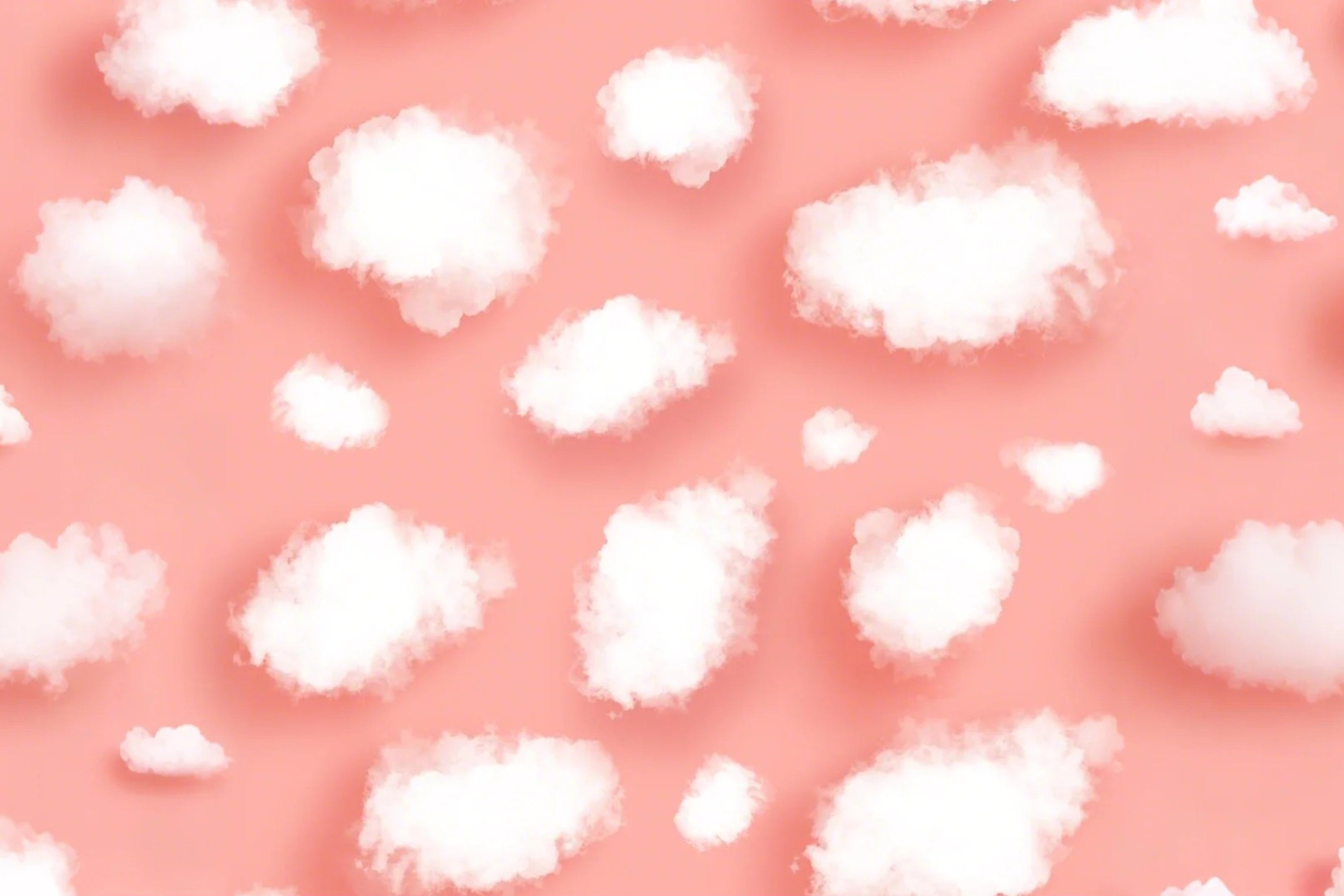 Pink Sky Backdrop White Cloud Fluffy Backdrop LXX1-347