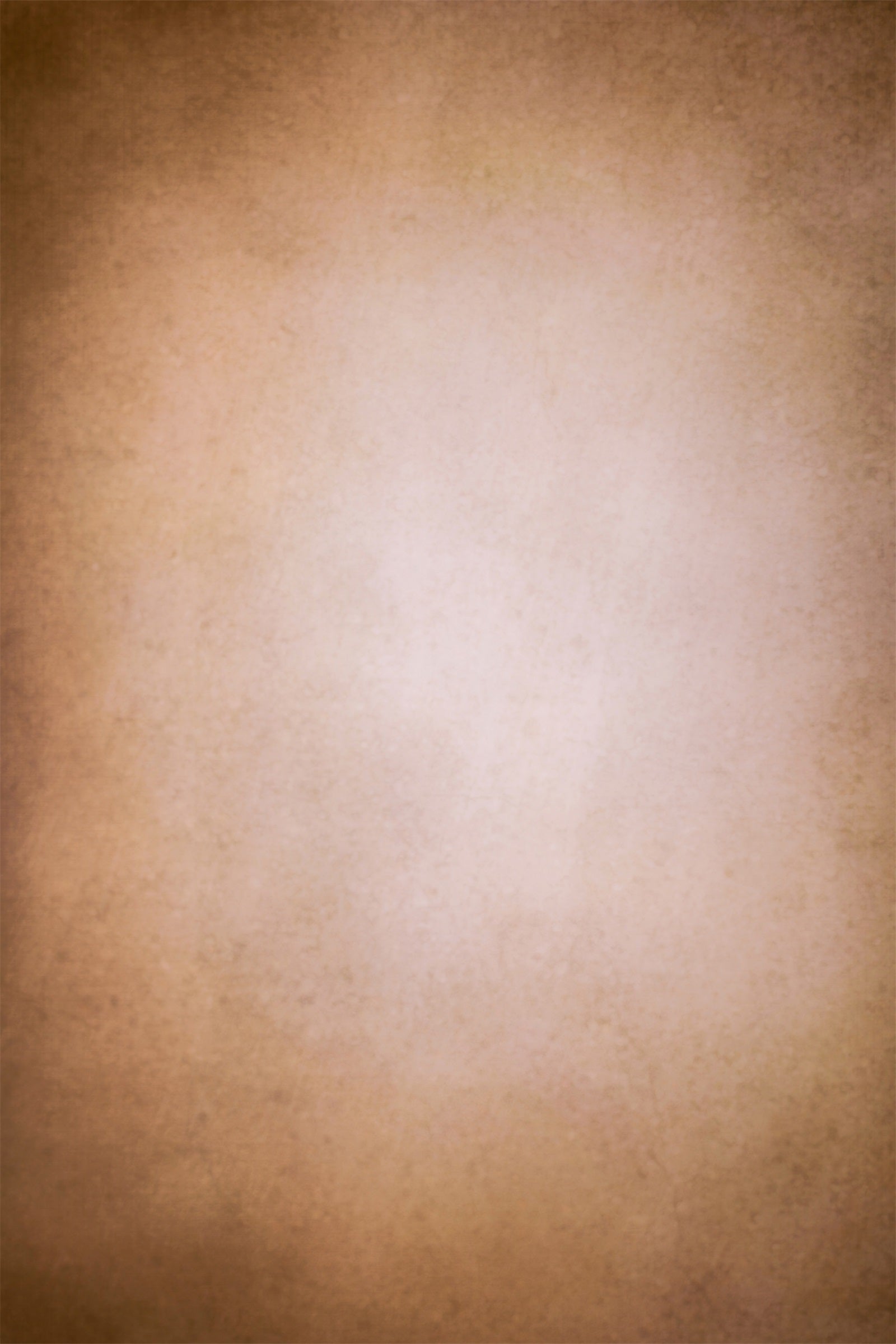 Abstract Photography Backdrop Soft Sepia Gradient Backdrop LXX1-369