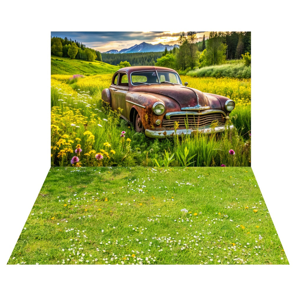 Rustic Truck Meadow Backdrop+Wildflower Grass Floor Backdrop LXX2-183