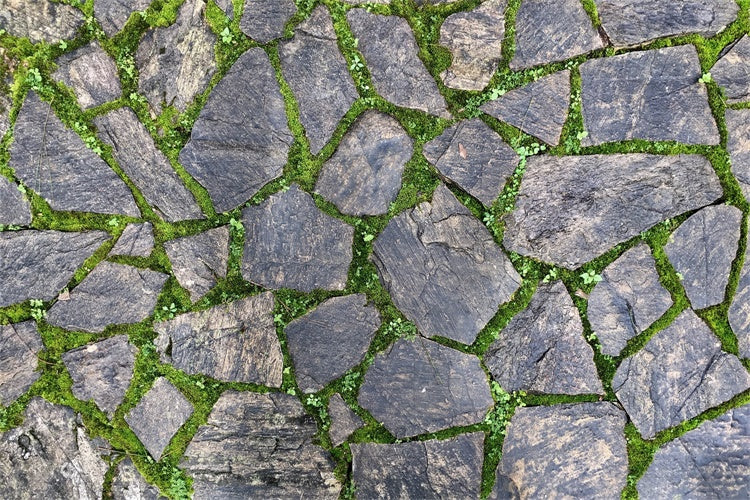 Photography Floor Backdrop Dark Rustic Stone Floor Backdrop LXX2-237