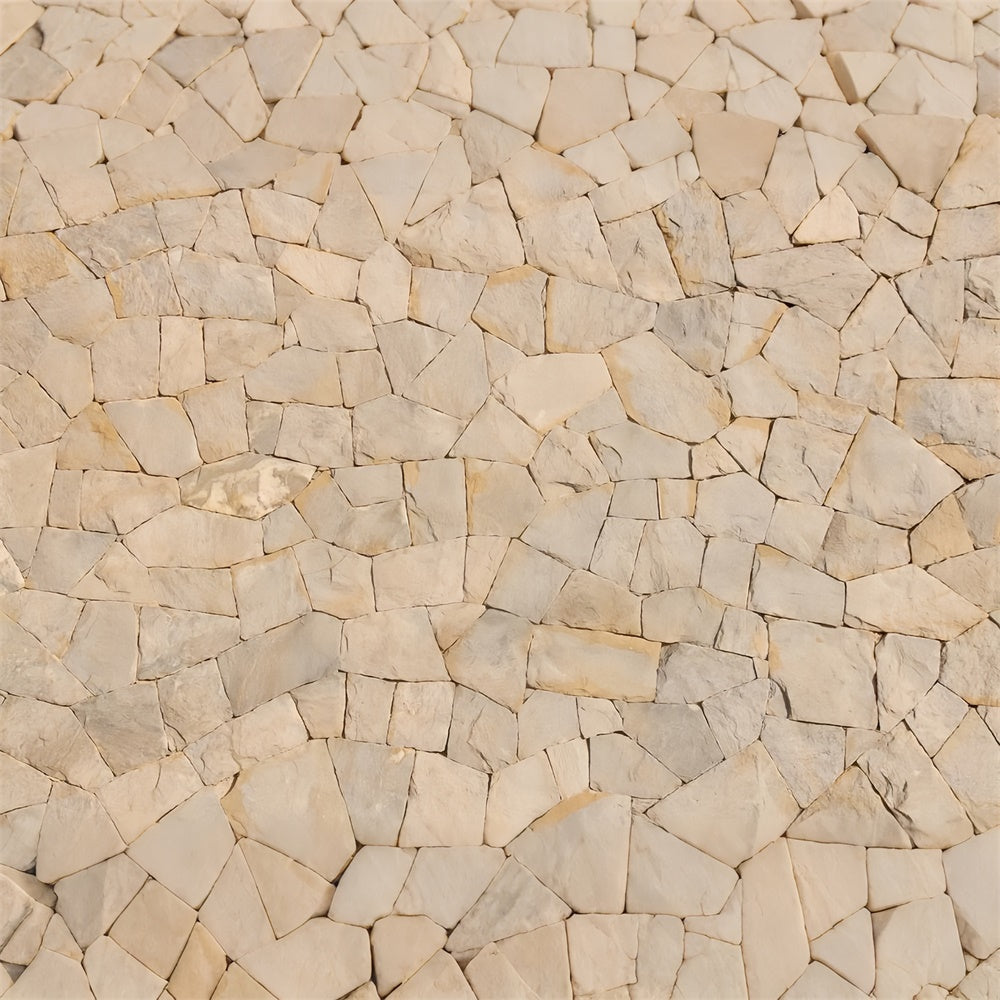 Floor Backdrops For Photography Warm Stone Slab Floor Backdrop LXX2-256