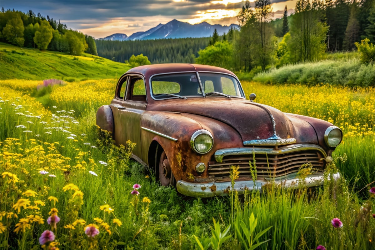 Spring Photo Backdrop Vintage Car Lush Meadow Backdrop LXX2-68