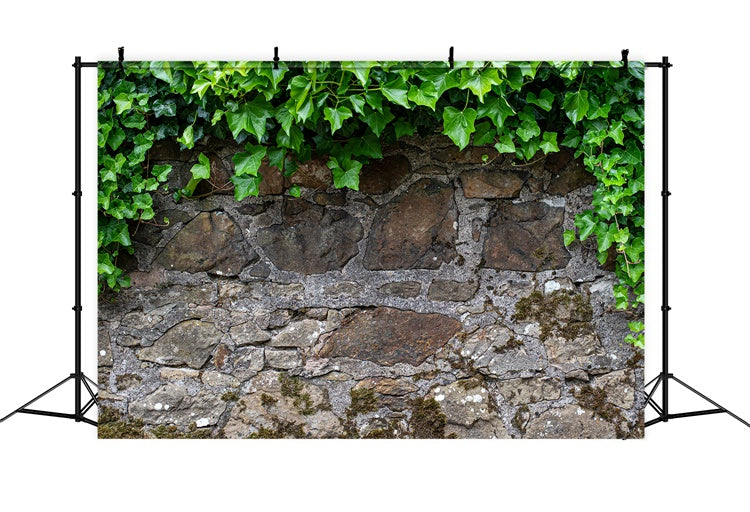 Spring Photography Backdrop Rustic Stone Wall Ivy Backdrop LXX2-70