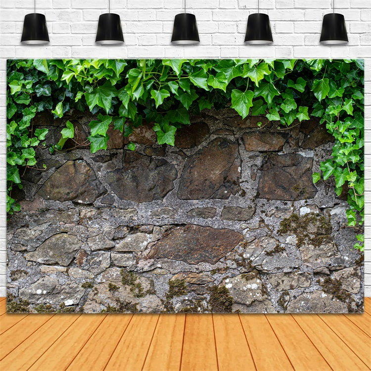 Spring Photography Backdrop Rustic Stone Wall Ivy Backdrop LXX2-70