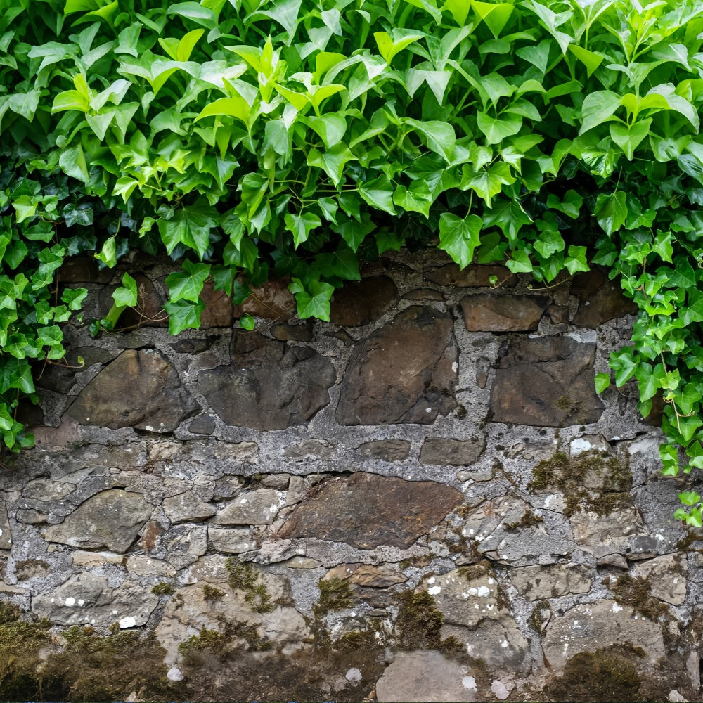 Spring Photography Backdrop Rustic Stone Wall Ivy Backdrop LXX2-70